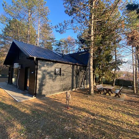 Kuca Za Odmor Vrdnik Villa Exteriör bild
