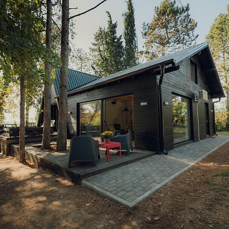 Kuca Za Odmor Vrdnik Villa Exteriör bild