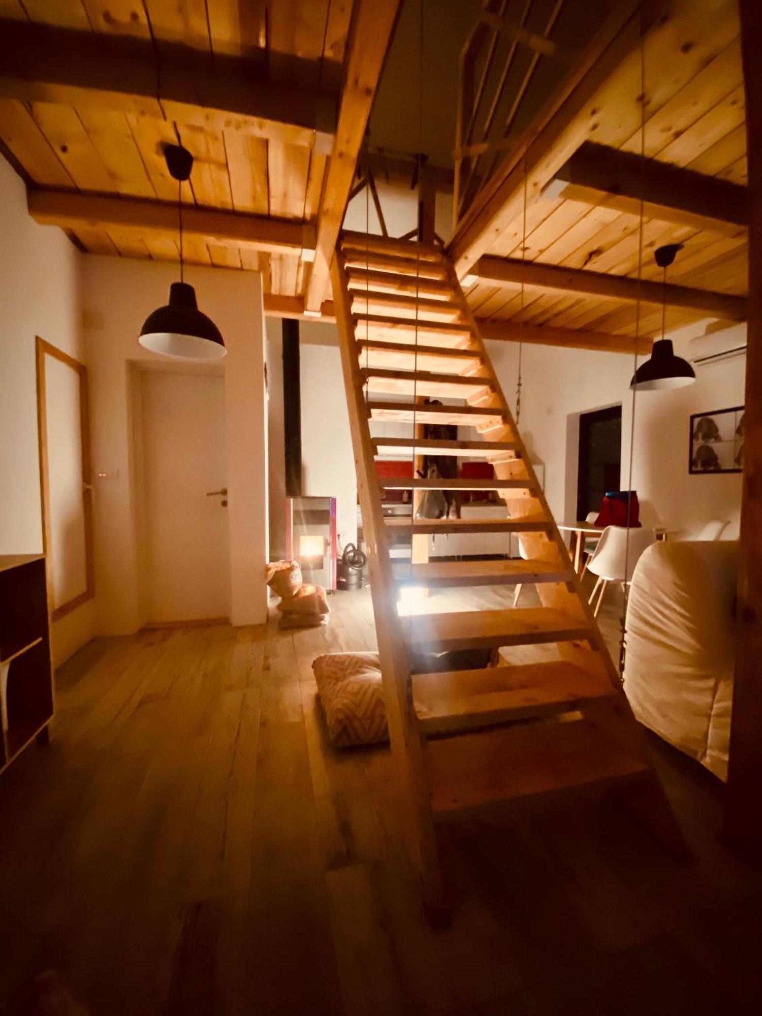 Kuca Za Odmor Vrdnik Villa Exteriör bild