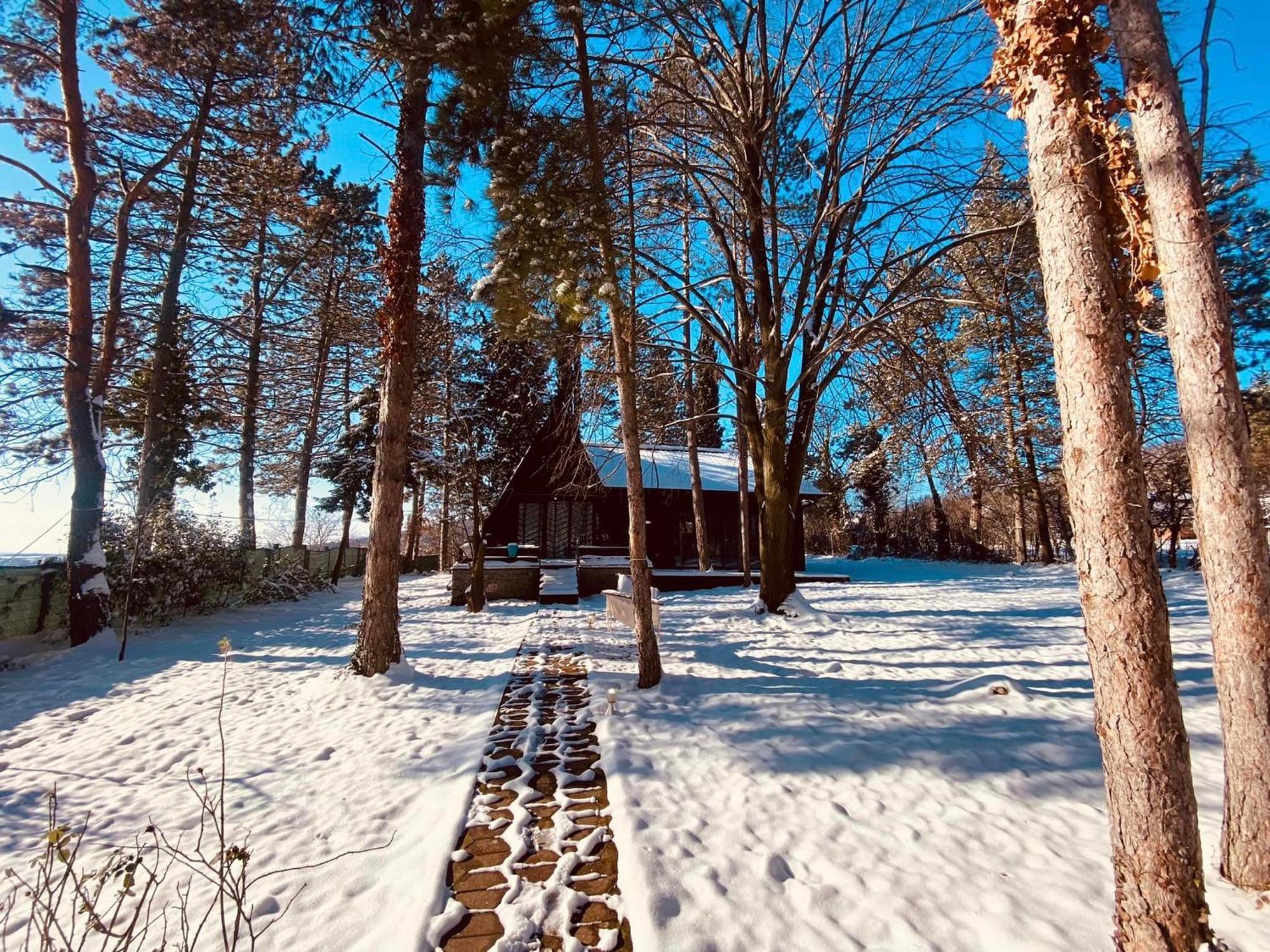 Kuca Za Odmor Vrdnik Villa Exteriör bild