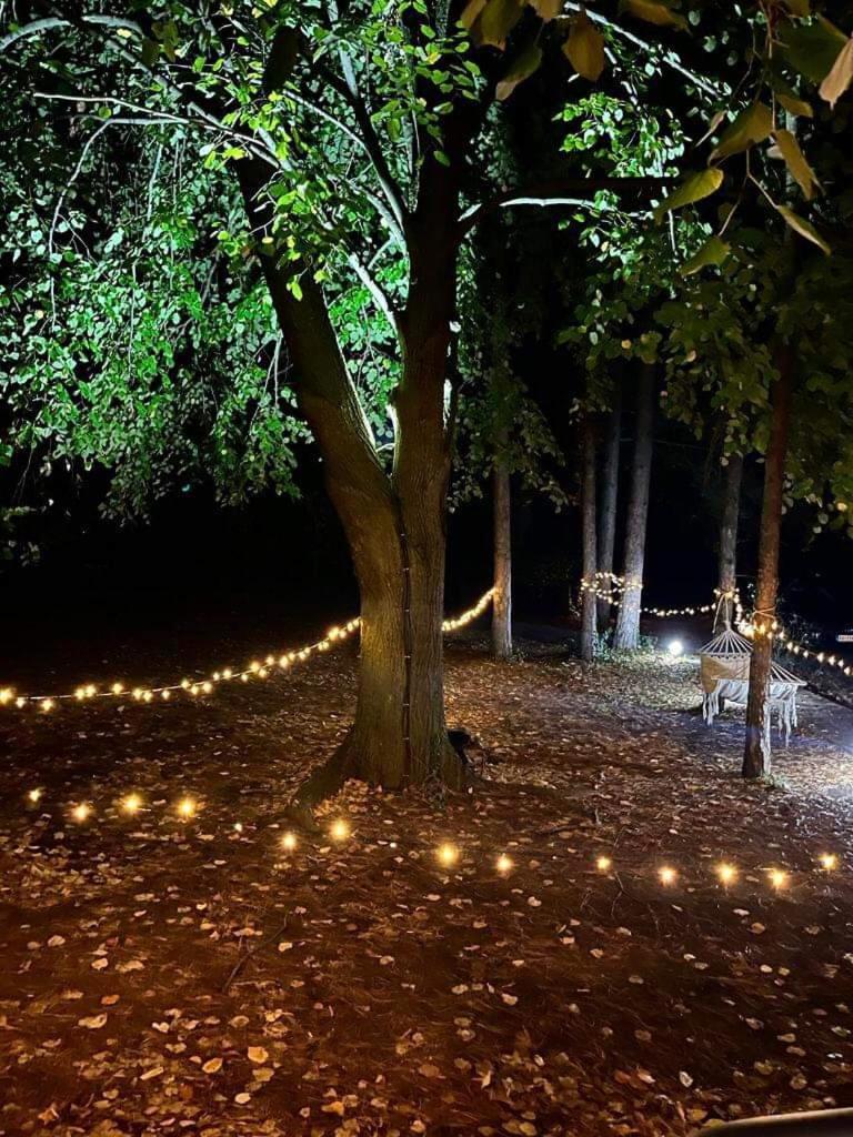 Kuca Za Odmor Vrdnik Villa Exteriör bild