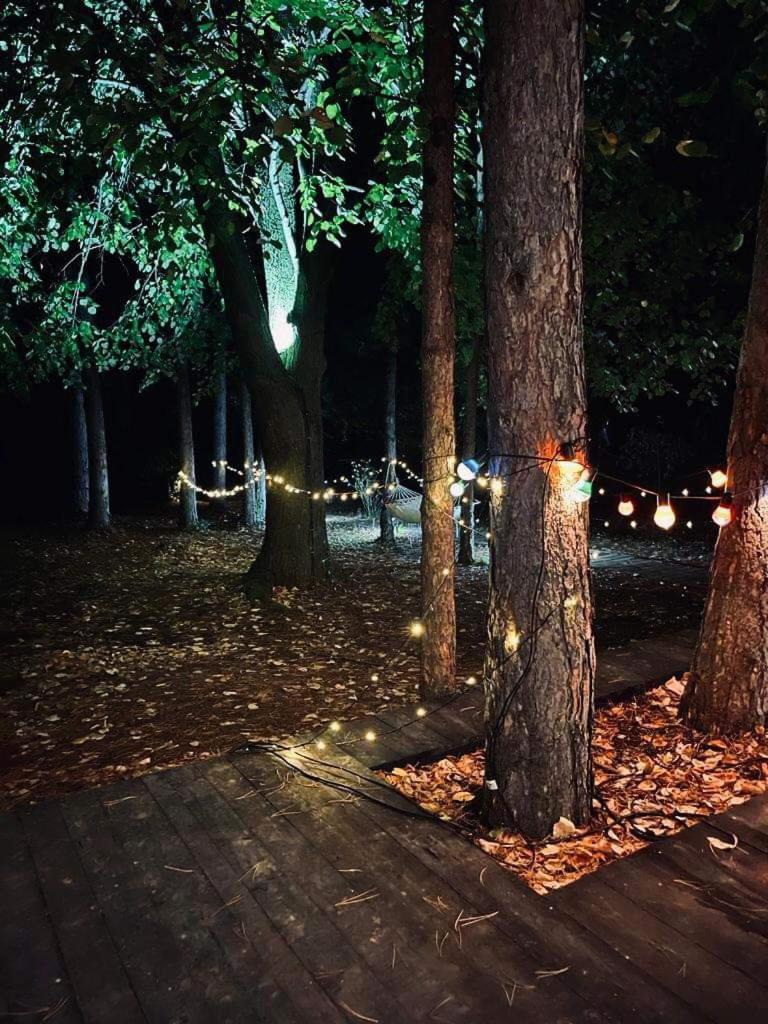 Kuca Za Odmor Vrdnik Villa Exteriör bild