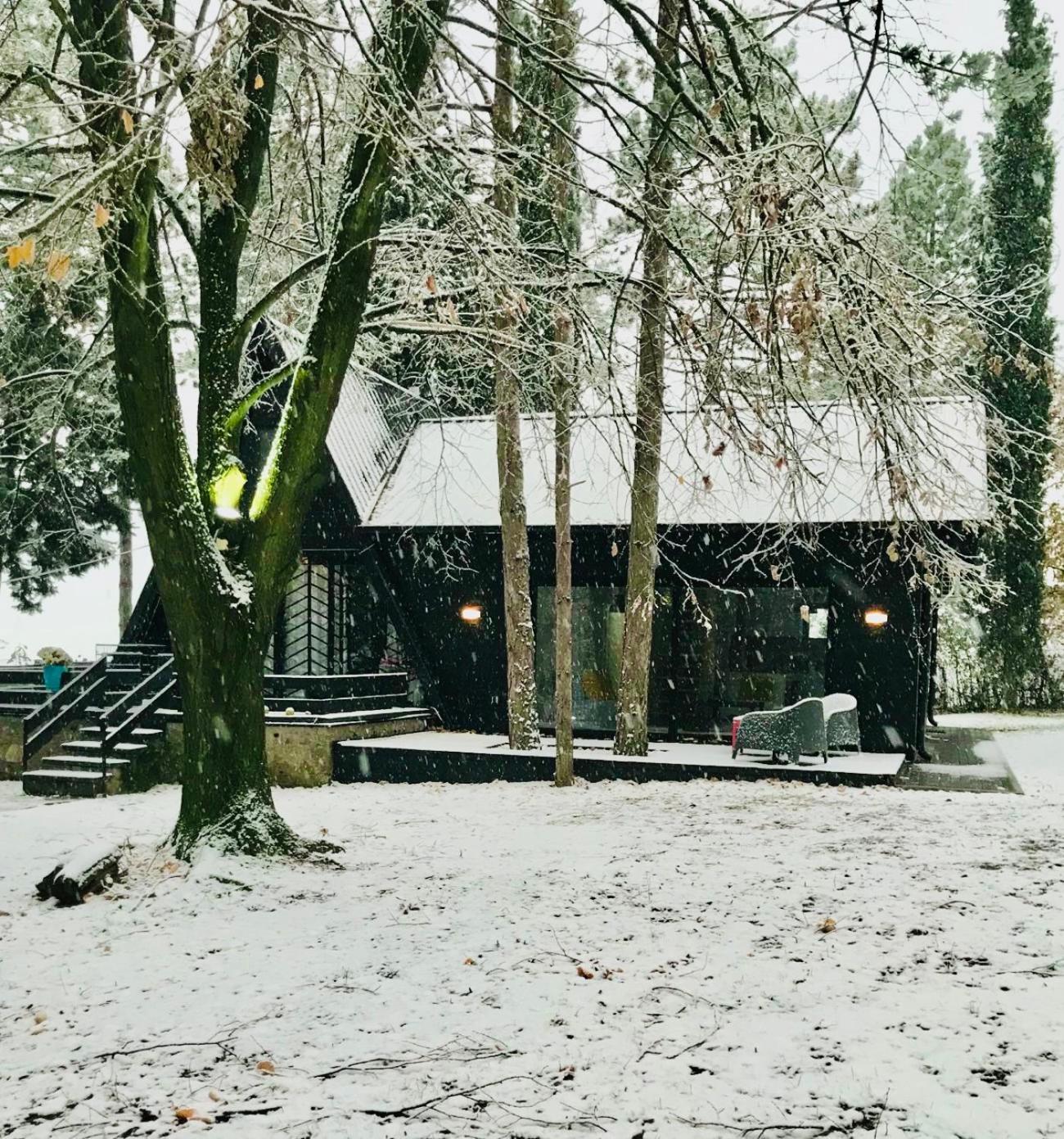 Kuca Za Odmor Vrdnik Villa Exteriör bild