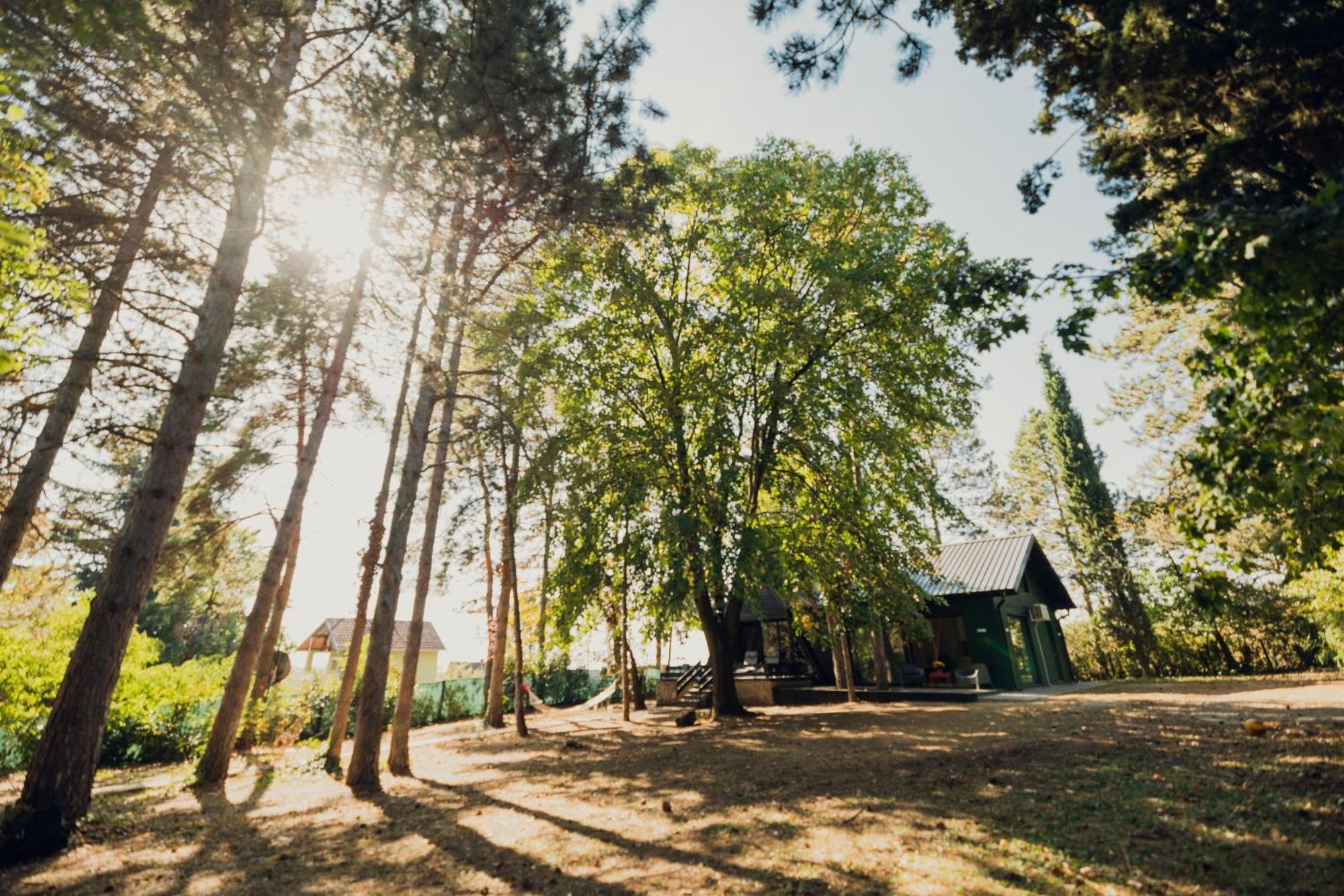 Kuca Za Odmor Vrdnik Villa Exteriör bild