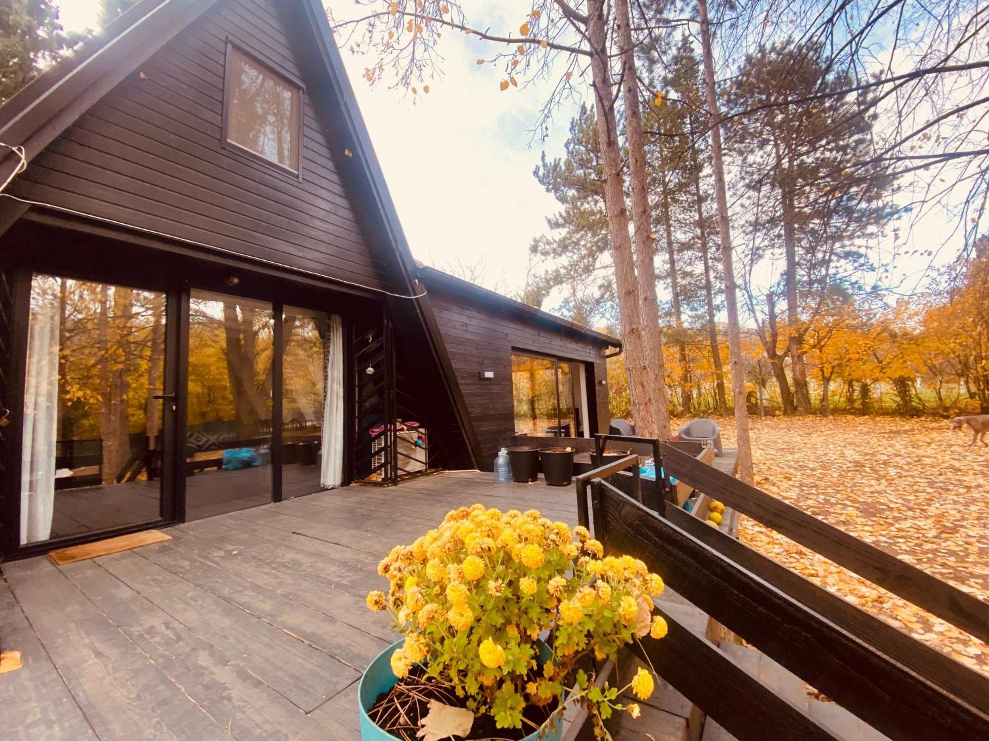 Kuca Za Odmor Vrdnik Villa Exteriör bild