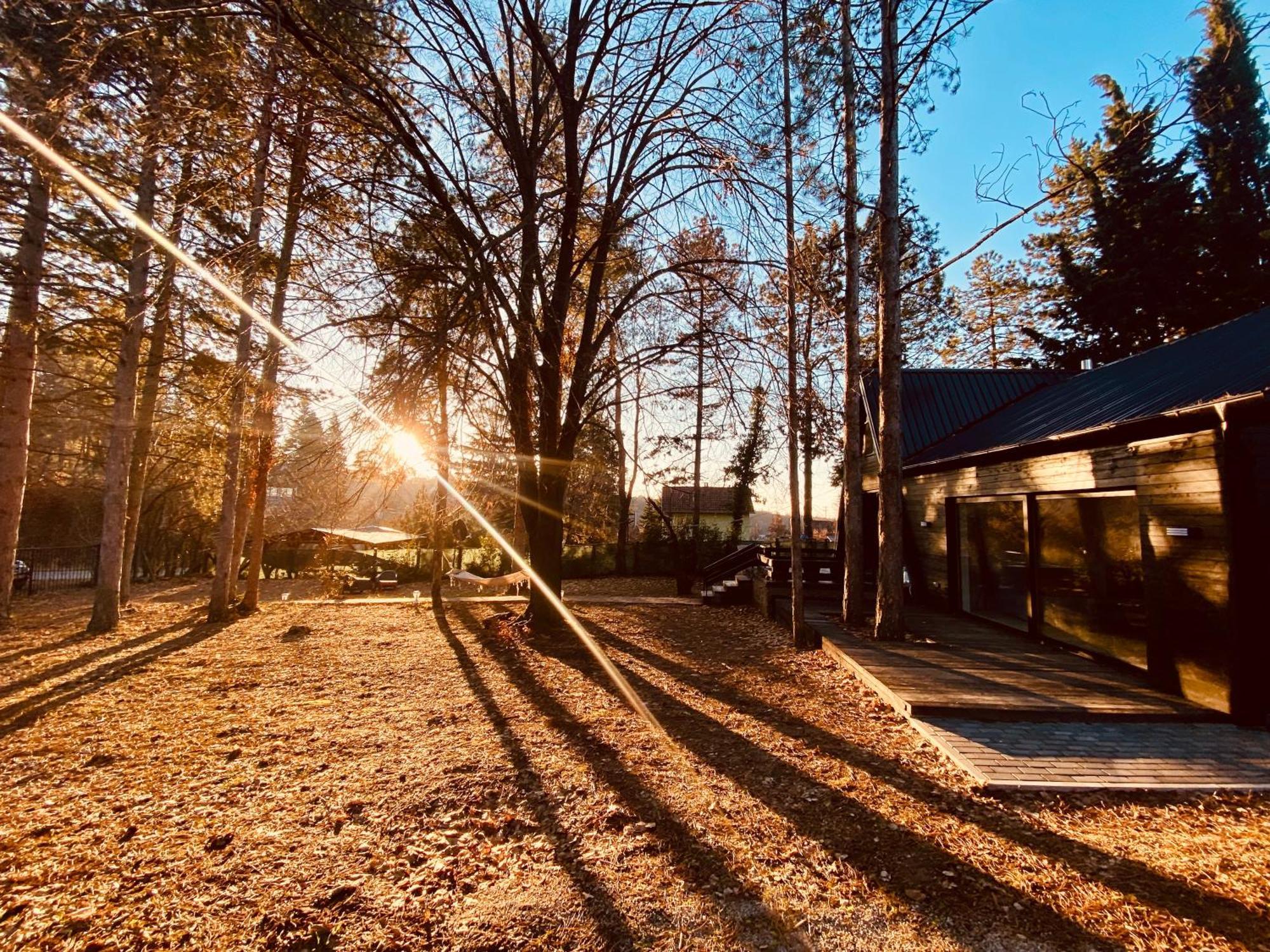 Kuca Za Odmor Vrdnik Villa Exteriör bild